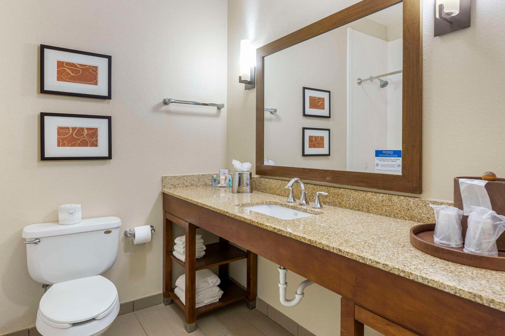 Comfort Inn Memphis Downtown Εξωτερικό φωτογραφία